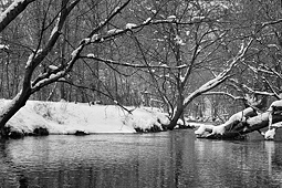 Valley Creek in Snow